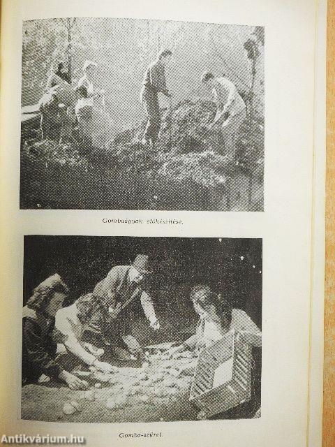 Az Egri Gárdonyi Géza Koedukált Ált. Gimnázium értesítője az 1961-62. iskolai évről