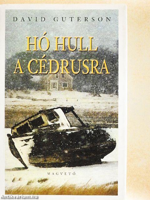 Hó hull a cédrusra