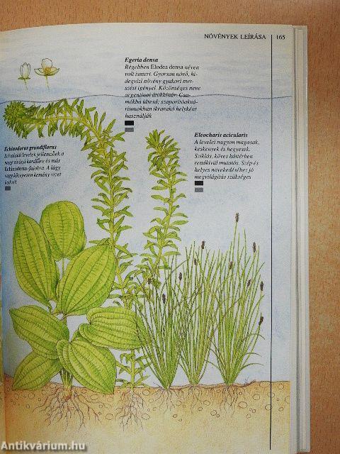 Akvarista kézikönyv