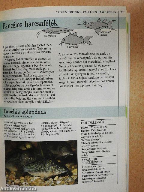 Akvarista kézikönyv