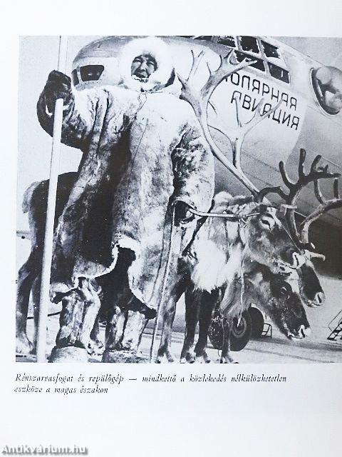 Északra szállnak a hattyúk