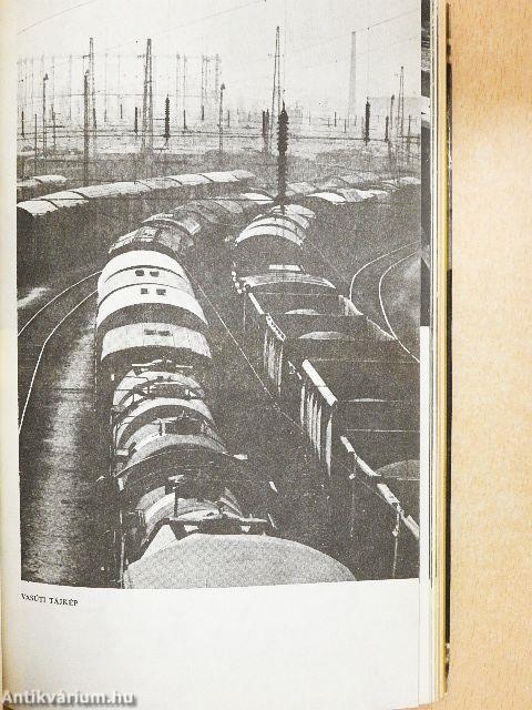 Akit a mozdony füstje megcsapott...