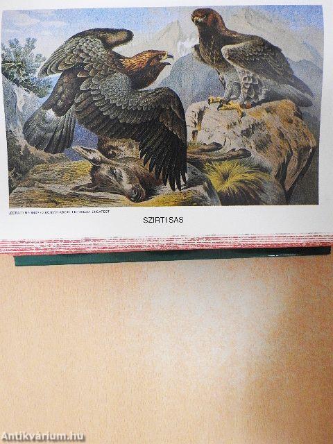 Brehm - Az állatok világa