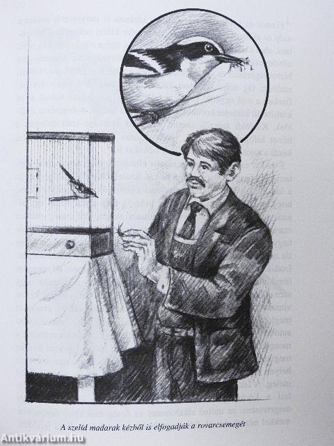 Éneklő kedvenceink