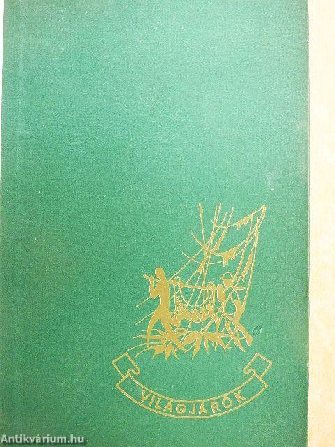 Pálmakunyhó az őserdőben