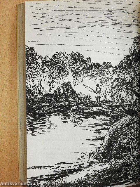 Vizek, halak, emberek