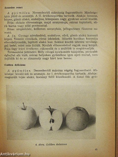 A télialma termesztése