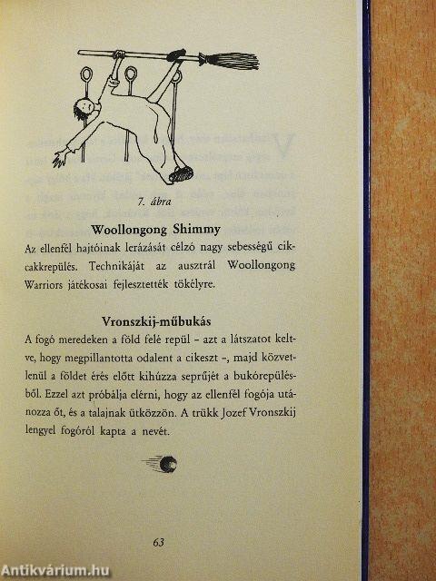 Tudor Hushpush: A kviddics évszázadai