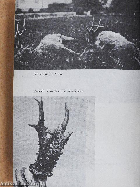 Ahogy elkezdődött.../Ünnepnapok