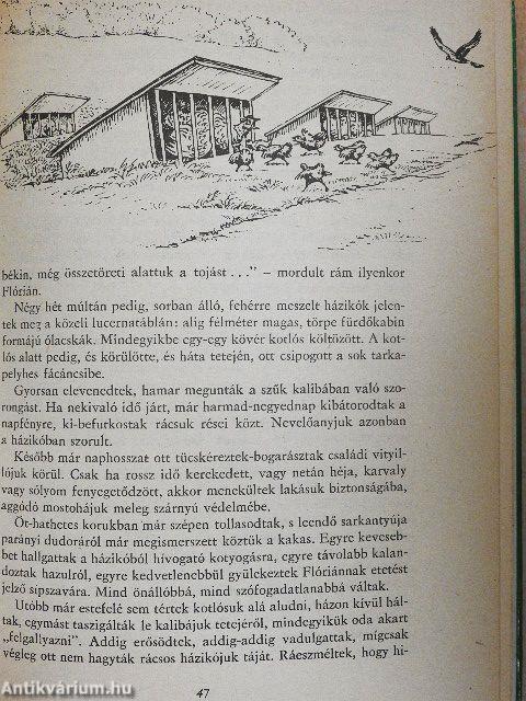 Ahogy elkezdődött.../Ünnepnapok