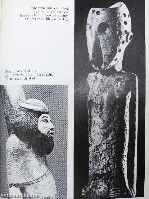 Beszélgetések a Bibliáról