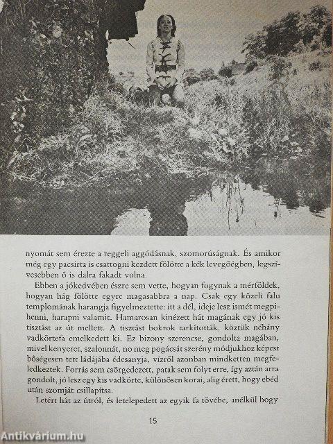 Igazmondó aranyolló