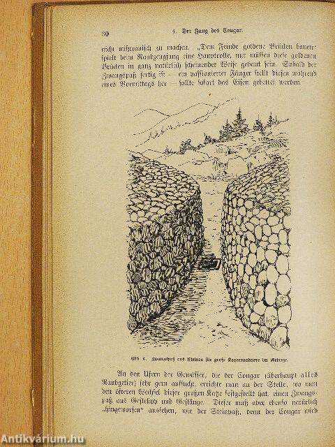 Der Fang in- und ausländischer Pelztiere (gótbetűs)