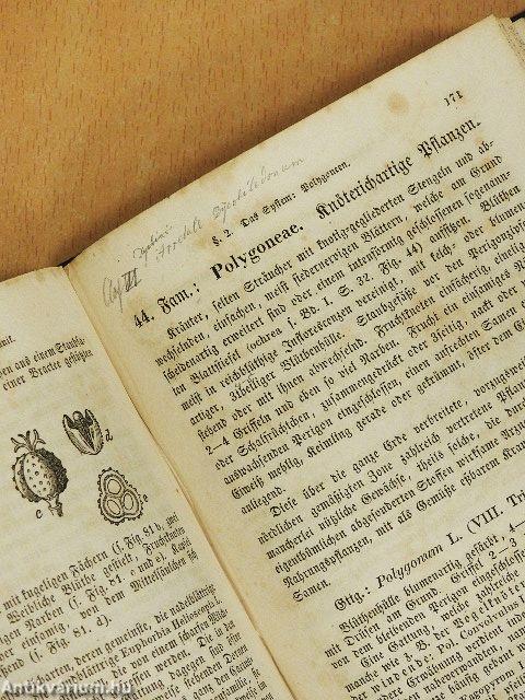 Die Pflanzenkunde II. (gótbetűs)