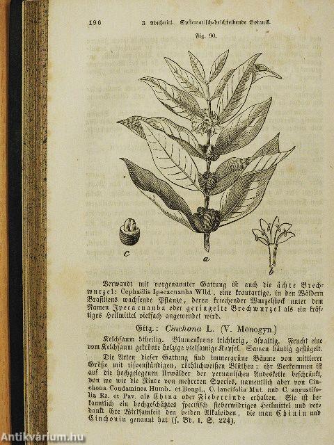 Die Pflanzenkunde II. (gótbetűs)