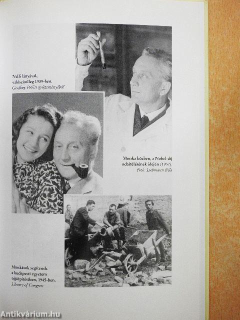 Szent-Györgyi Albert