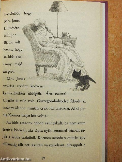 Csöpi, az elhagyott kiscica