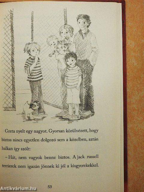 A gazdátlan kiskutya