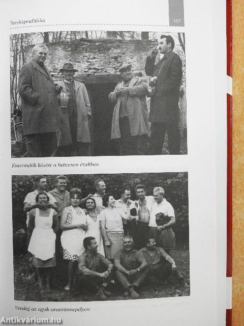 Mérföldkövek ködben