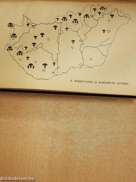 Ehető és mérges gombáink