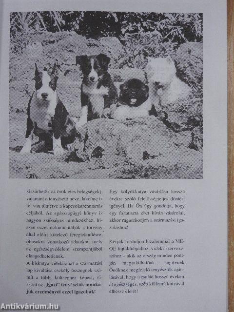 Budapest Champion Show Katalógus