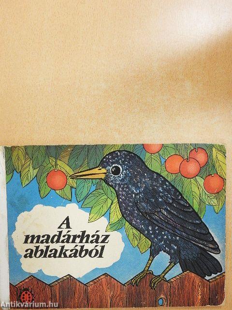 A madárház ablakából