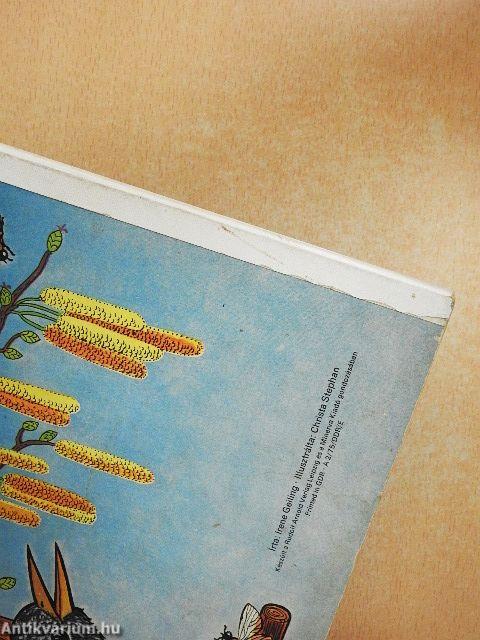 A madárház ablakából