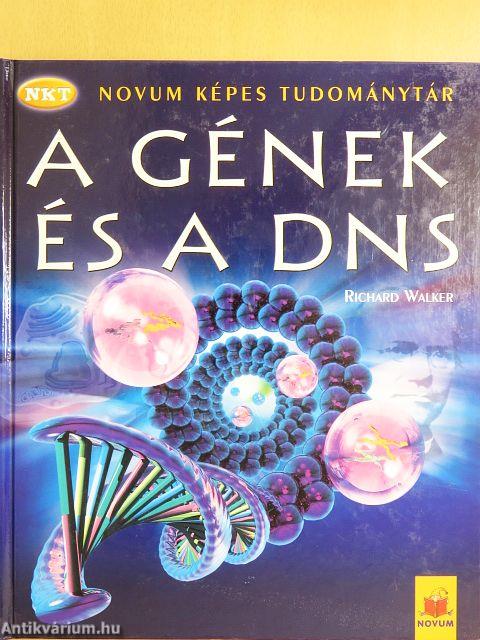 A gének és a DNS