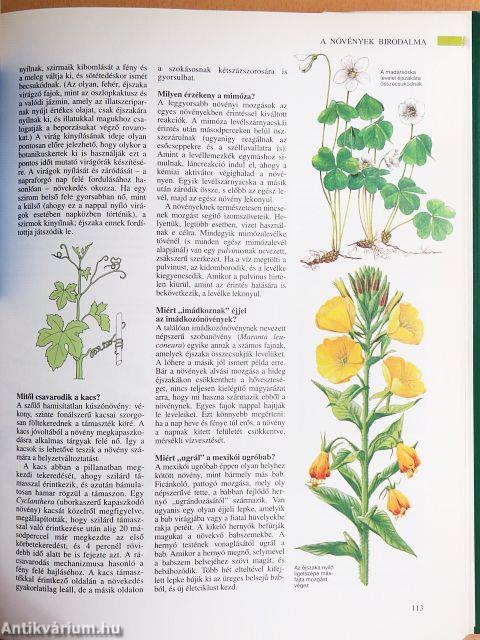 A természet ABC-je