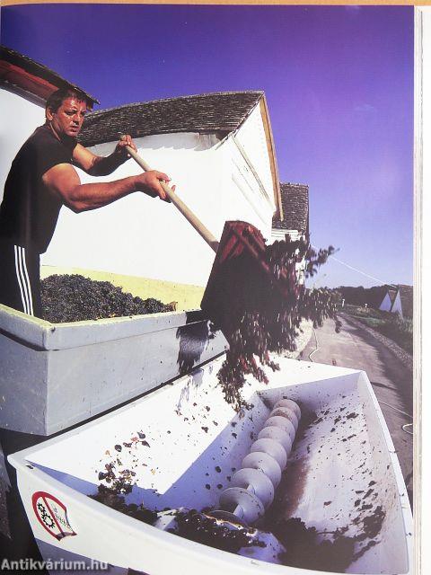 A tőkétől a pohárig