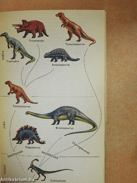 A Föld naplójából