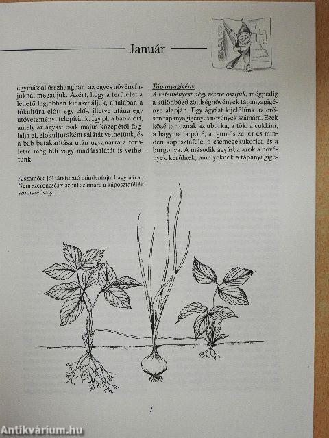 Kalendárium zöldség- és gyümölcstermelőknek