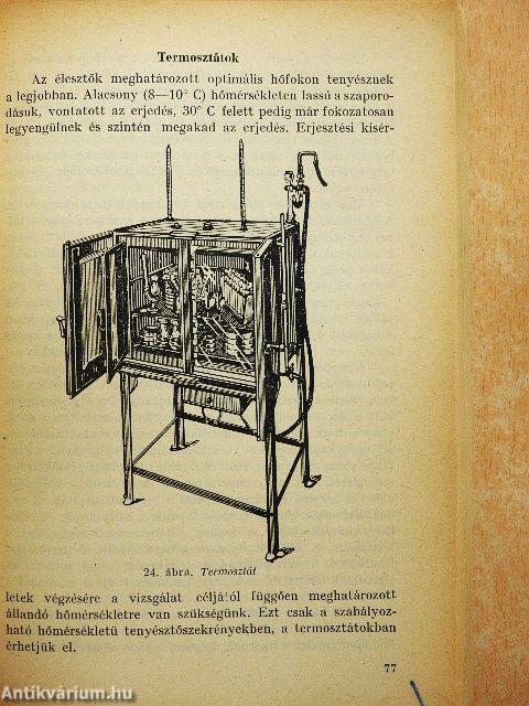 A borászati erjedéstan gyakorlata