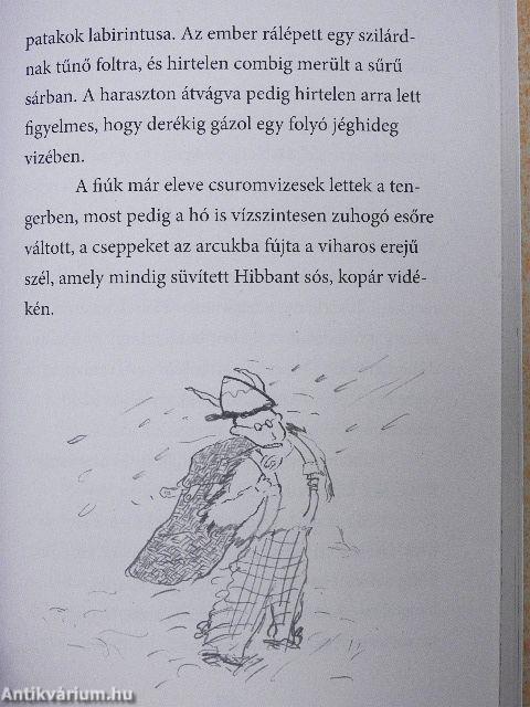 Így neveld a sárkányodat