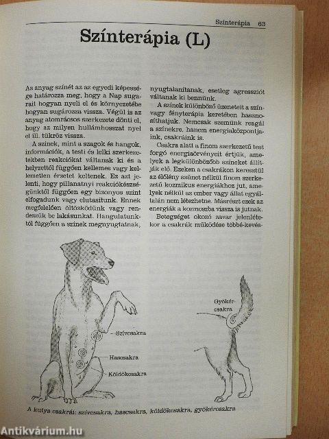 A kutya természetgyógyászata