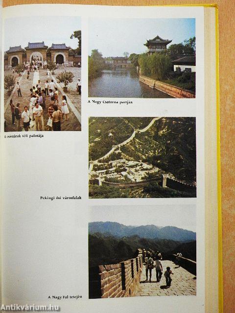 A keleti gyógyítás útjain