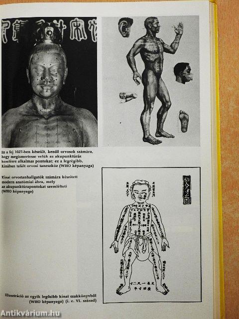 A keleti gyógyítás útjain