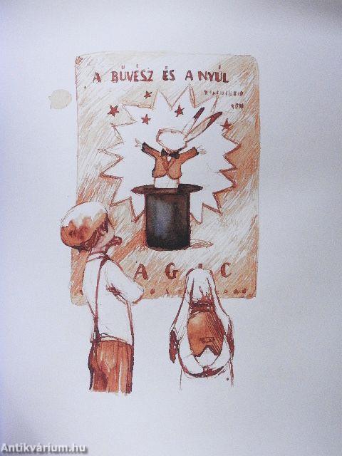 Az ifjú bűvész és a bölcs nyúl