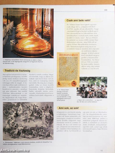 Az elsők krónikája