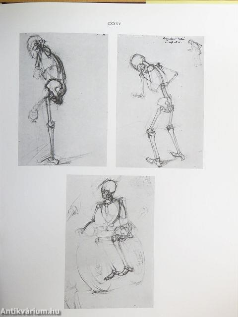 Művészeti anatómia