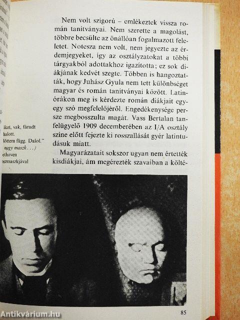 Így élt Juhász Gyula