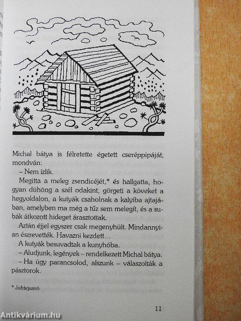 Betyárhistória