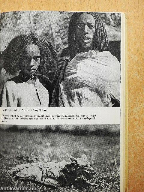 Afrikai vadászemlékek