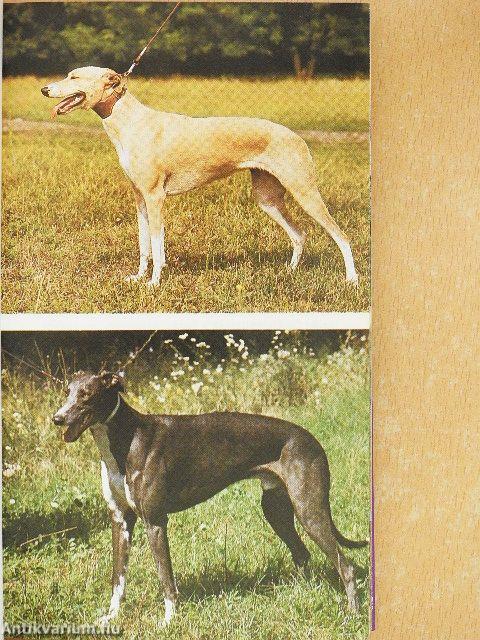 A világ kutyái I-II.