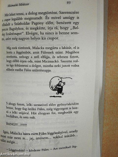 Micimackó és a tao