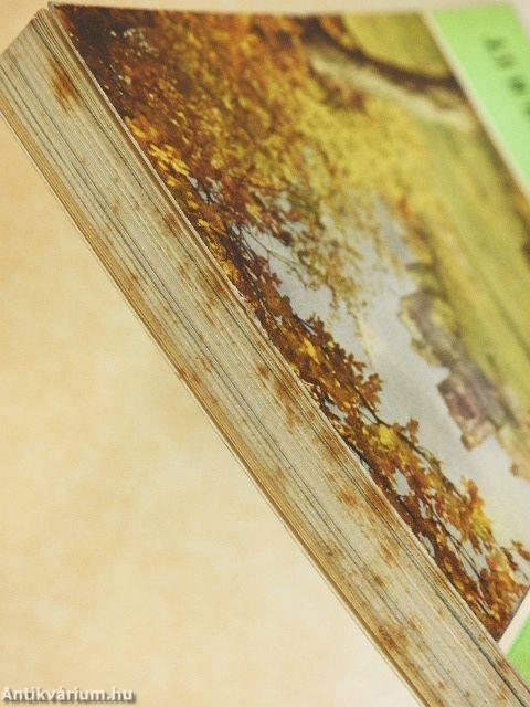 Budapest-Börzsöny-Cserhát