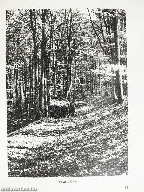 Budapest-Börzsöny-Cserhát