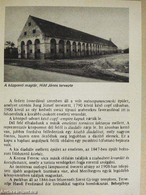 Mezőhegyes - Műemlékek