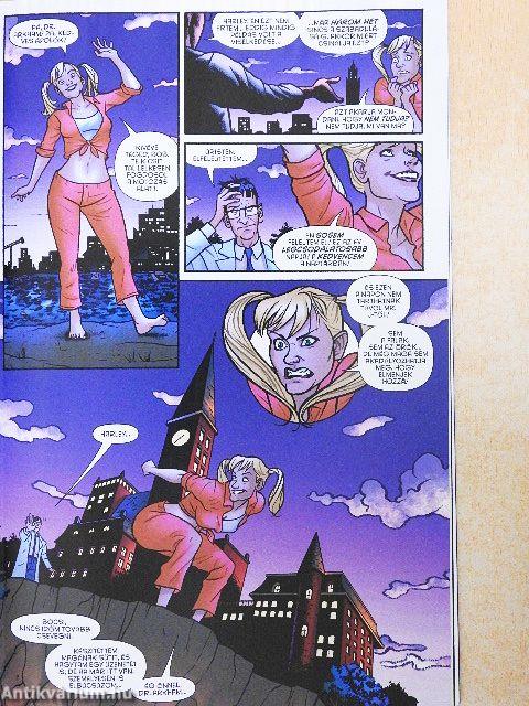 Batman - Joker diliháza II