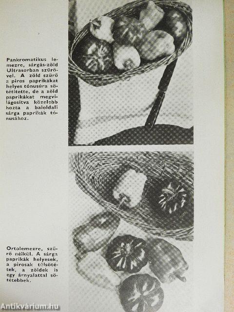 Jó színszűrő - szép kép!